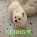 멍묭실 이미지