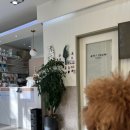 분당밝은아이동물병원 이미지