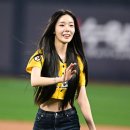 카시아 이미지