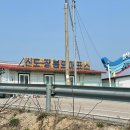 인천 스쿠터타고 꽃구경! 영종도 신시모도 봄나들이 후기