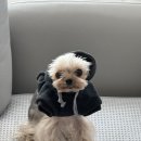 막내카센타 이미지