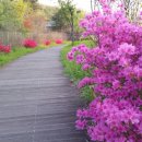 노작공원(오산천변) 이미지