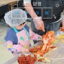 📌 [따뜻한 겨울 준비] 막막했던 김장, 2만원대로 해결한 이유 — 양평 ‘내손으로 김장’ 체험 후기
