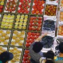 엉터리마트