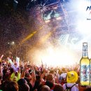 하이트캠프 이미지