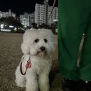 몽그라미 이미지