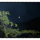 달뜨는언덕