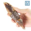 소라광고 이미지