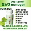 플로라제이 이미지