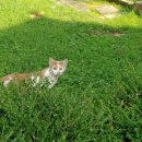 건지주공 이미지