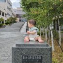 포스텍 포항공대 학부 대학원 졸업생 솔직 리뷰