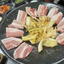 돼지벅스 이미지