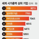 사피엔스 이미지