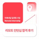 [리모트 인턴십 6기] 2025 Remote Internship 6기 합격 후기