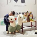 지오크리에이티브 세종센터 | 키즈스콜레 버라이어티팩 스타트 후기(키콜 버팩 전집 장점 단점)