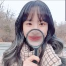 현정 Daum카페