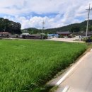 광산구-129 이미지