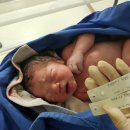 내사랑땡구 이미지