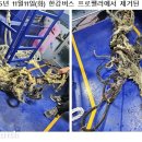 선미종합가스 비즈니스워치