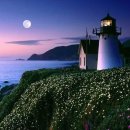 동그리안경원 이미지