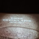 (공연) 데드센터 <베케트의 방> | 데드센터 &lt;베케트의 방&gt;