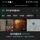 일라레콜로로 이미지