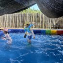 하피랜드 이미지