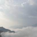 파오스 이미지