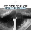 금호동물병원 이미지