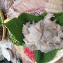 중앙식당 | 노량진 초장집 어디가 좋아요? 현지인 단골 중앙식당 후기
