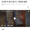 견과류 바 봉지 뜯으니 ‘애벌레 꿈틀’ 이미지