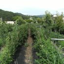 지곡농장 이미지