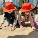 수안체육공원 이미지