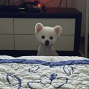벨라미용실 - 고양시 일산동구 | 벨라미용실