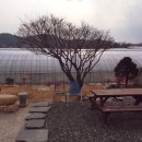 빙수네민박 이미지