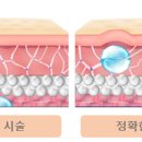 안티안의원 이미지