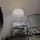 모하지스튜디오