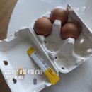 지에스(GS)25월산부영 | [여행]240803~6(토~화)_제주도
