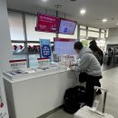 신지카서비스 | 제주도 여행 Ep.1 대구출발 티웨이 항공 비행기 예약 탑승 후기(임산부 혜택)/롯데렌터카 예약 이용 후기.