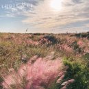 신방헤바어학원 | 천안네일샵 네일도봄날 이달의아트문의