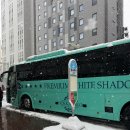 호수로가는가 | ㅣ흰 그림자 투어 오리지널 후기 | 크리스마스 트리ㅣ...나무숲ㅣ청의 호수ㅣ준페이 도시락ㅣ흰수염폭포...