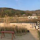 월전로 1 | [전북여행]전주 근교 대형 카페 분위기좋은곳 야외테라스 아이와 가기 좋은 곳 애견동반 카페