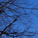 여양목장 이미지