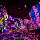 아리랑열차 연계형 시티투어2 이미지