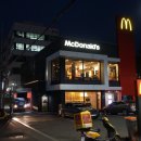 사파동300 이미지