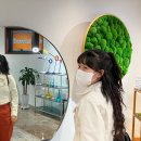 미이즈미붙임머리 - 부산진구 전포대로223번길 20 | 미이즈미붙임머리