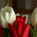 당신을 사랑합니다 이미지