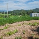 월곡리 경로당 이미지