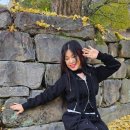 보석사   은행나무 이미지