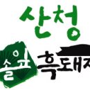 배근농장 | 현대백화점 행사판매- 산청 솔잎 흑돼지
